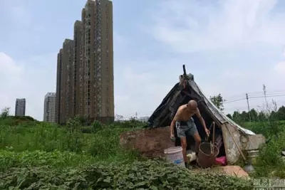 電子商務(wù)不是農(nóng)業(yè)的救世主!